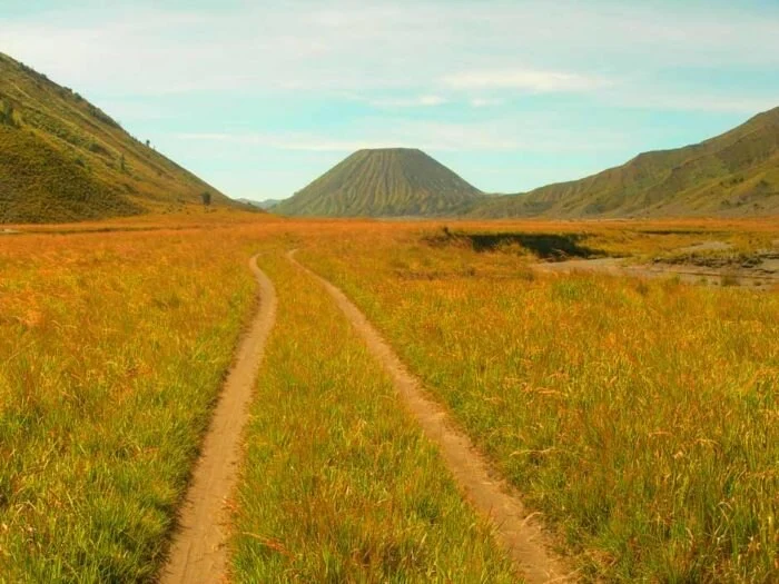 padang savanna bromo
