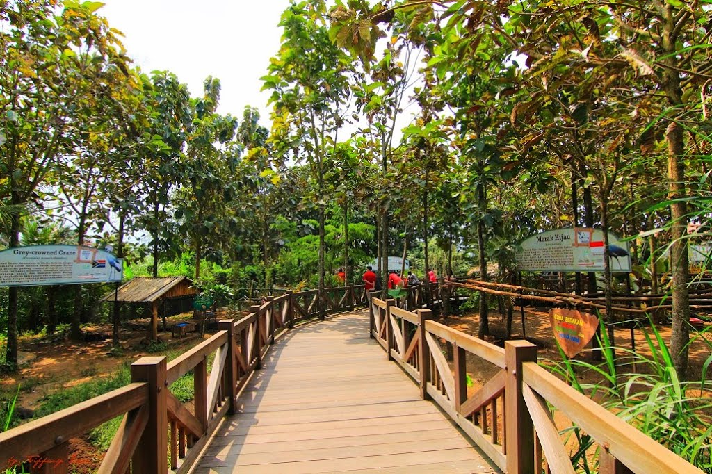 Wisata Eco Green Park
