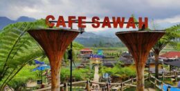 Cafe Sawah Pujon Kidul Menawarkan Panorama Persawahan yang Indah dan Spot Foto Menarik
