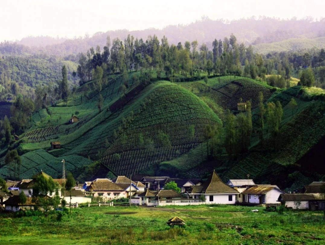 wisata ranu pani wisata ranu pani