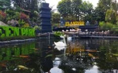 Tiket dan Belajar Seru Di Eco Green Park Batu