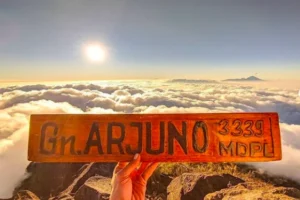 Gunung Arjuno Jawa Timur