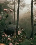 Penginapan Omah Kayu Malang dengan Pemandangan Indah Kota Batu