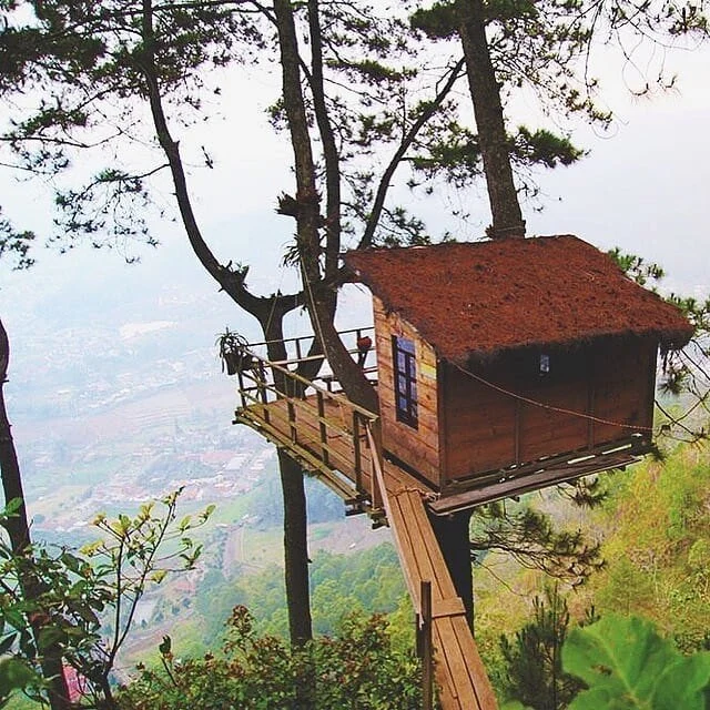 omah kayu malang