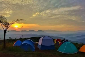 Sunset Taman Langit