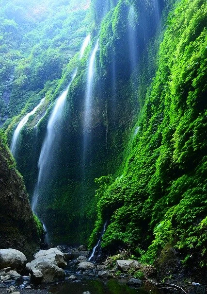 Keindahan Air Terjun Madakaripura