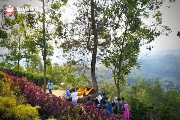 Spot foto Taman Langit