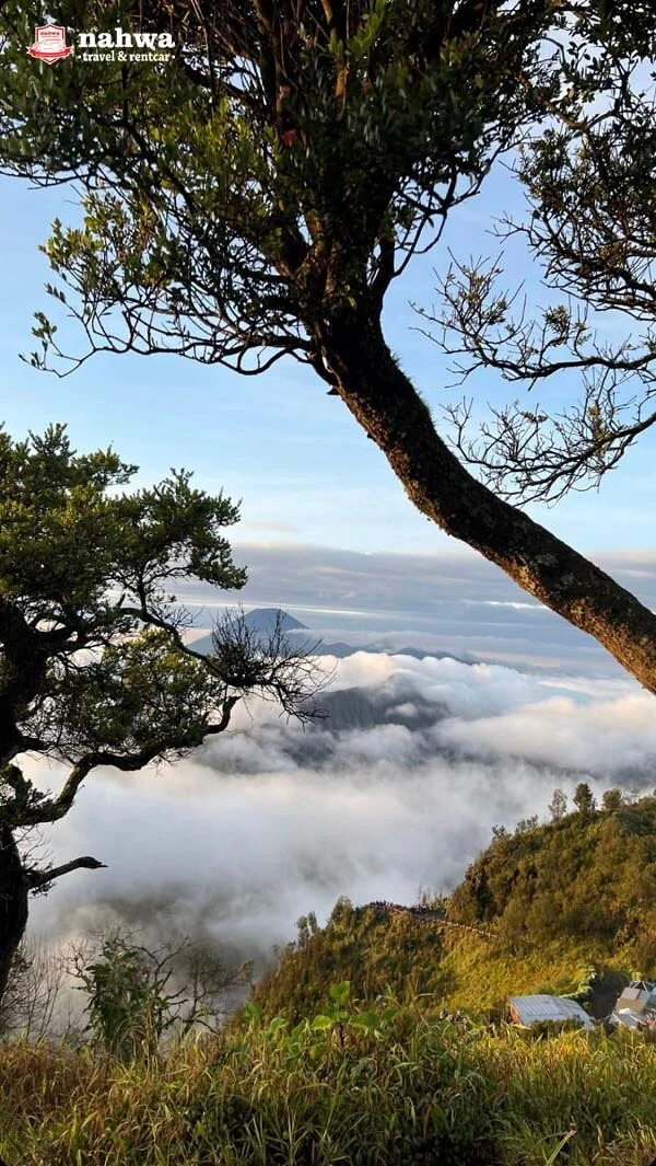 spot cantik bromo
