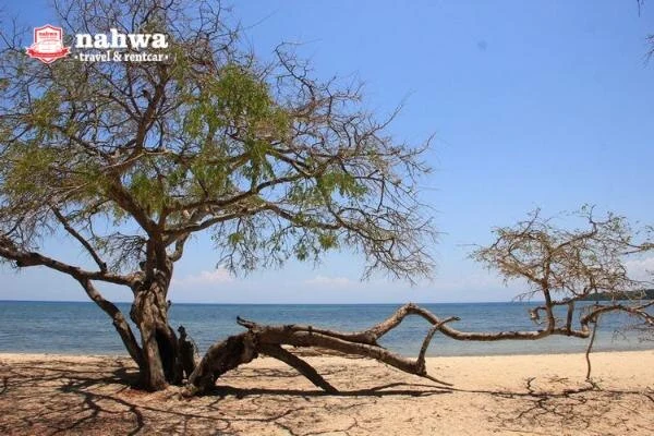 Taman Nasional Baluran