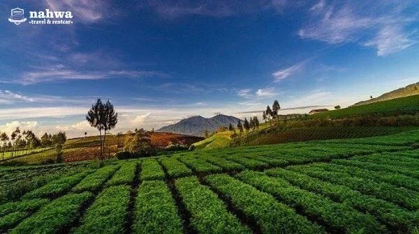 Puncak Brakseng Cangar Batu
