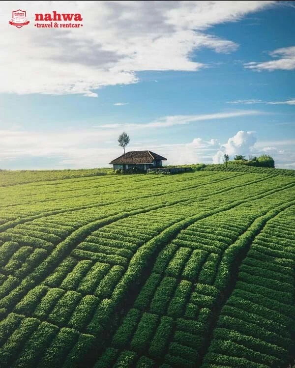 Puncak Brakseng Cangar Batu