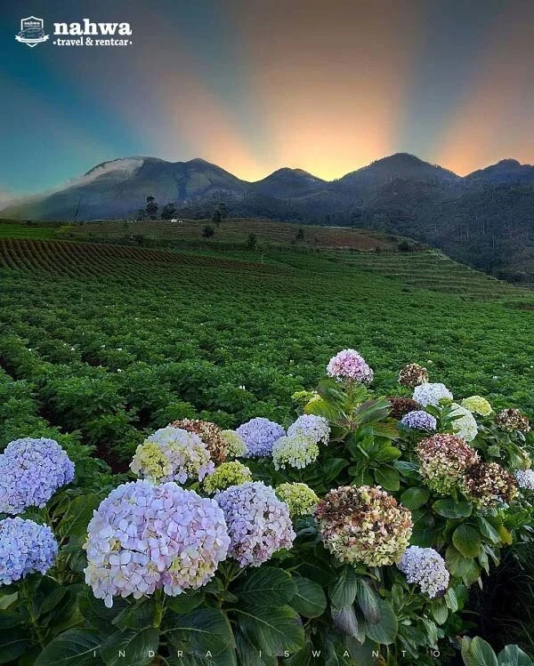 Puncak Brakseng Cangar Batu