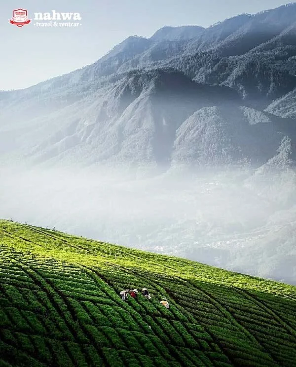 Mengintip Keindahan di Puncak Cangar Batu yang Mengagumkan
