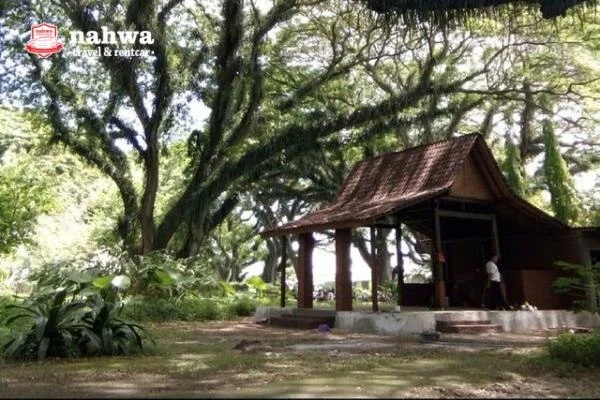 Hutan Di Banyuwangi Yang Dijuluki Hutan Lord Of The Rings