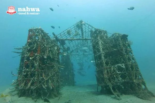 Keindahan Bangsring Underwater – maldivesnya jawa timur