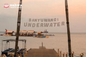 Surga Bawah Laut Banyuwangi - Surga Bawah Laut Banyuwangi