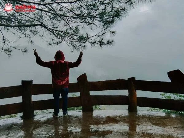 Gardu Pandang Goa Pinus