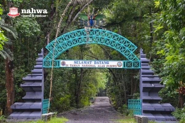 Kisah Mistis Di Hutan Taman Nasional Alas Purwo