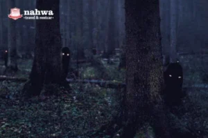 Kisah Mistis Di Hutan Taman Nasional Alas Purwo