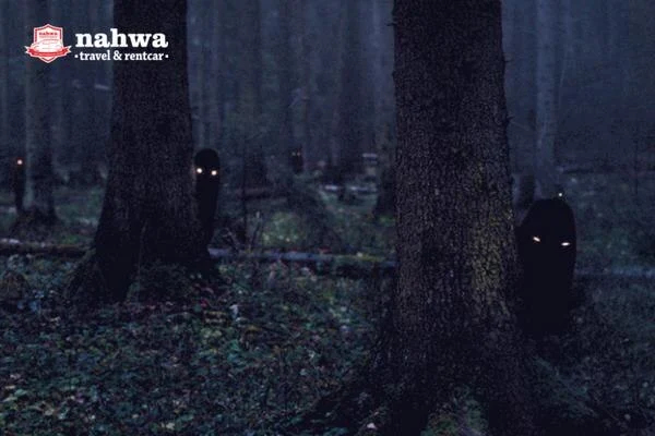 Kisah Mistis Di Hutan Taman Nasional Alas Purwo