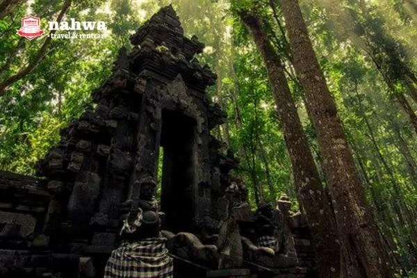 Kisah Mistis Di Hutan Taman Nasional Alas Purwo