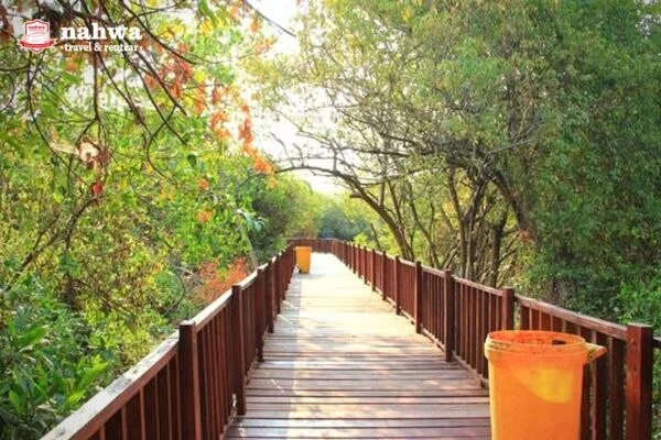Area Hutan Mangrove Surabaya