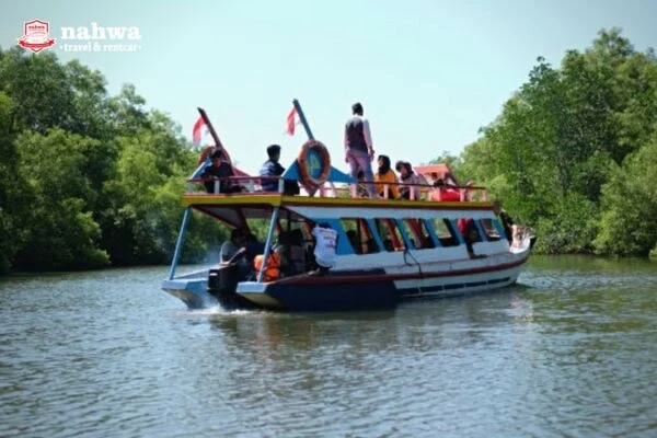 Explore Hutan Mangrove