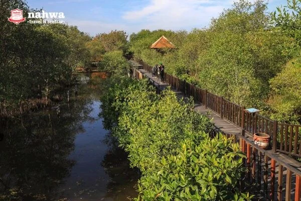 Hutan Mangrove Surabaya