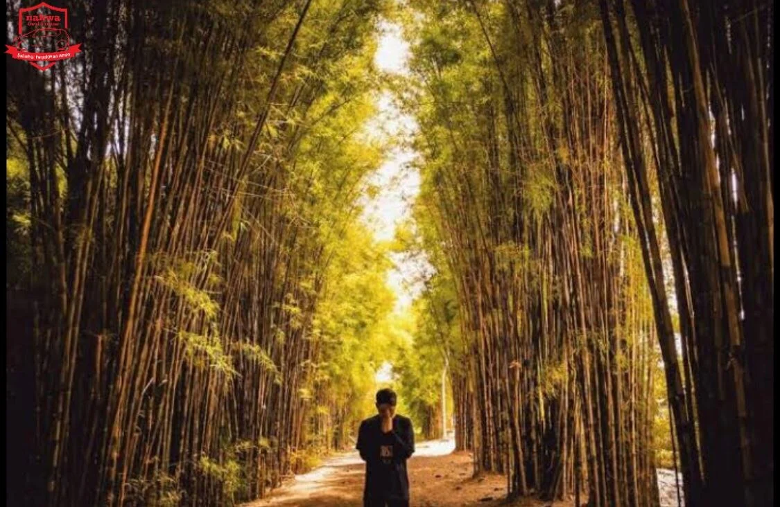 Cantiknya Hutan Bambu Keputih Kota Surabaya
