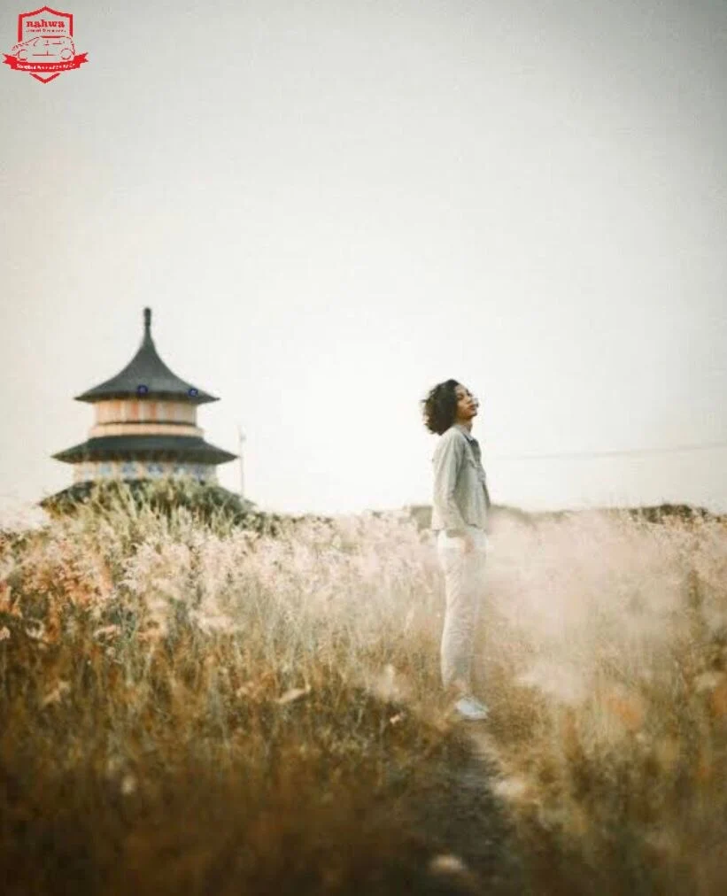 Pagoda Tian Ti