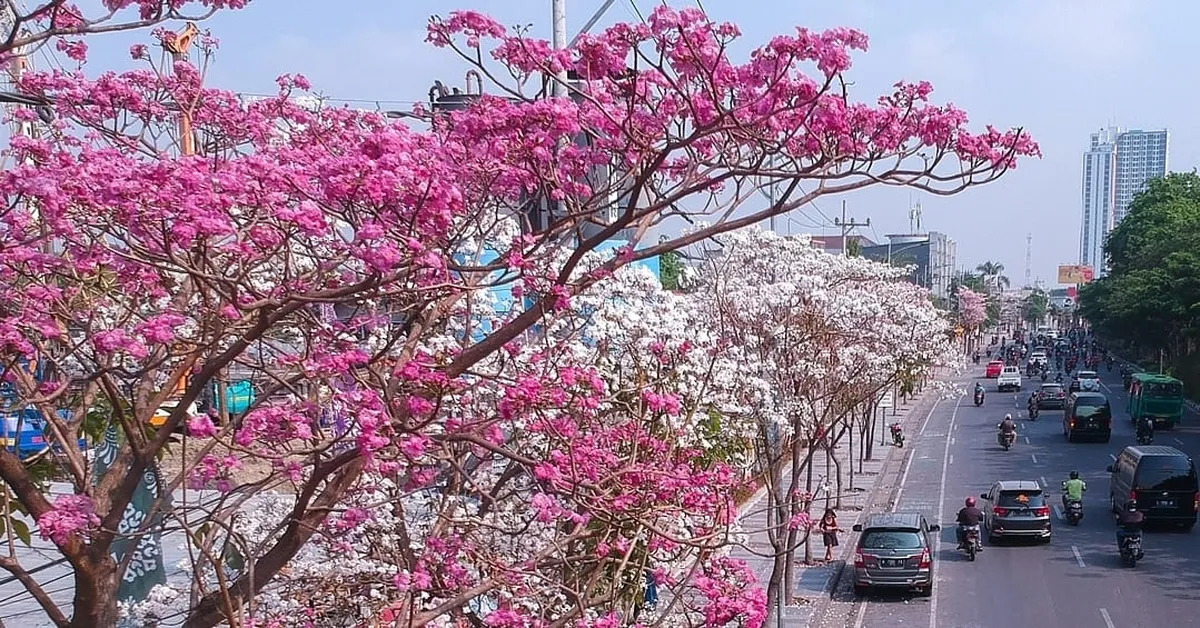 4 Wisata Surabaya Seperti Jepang : Lokasi, Jam Buka & Tiket