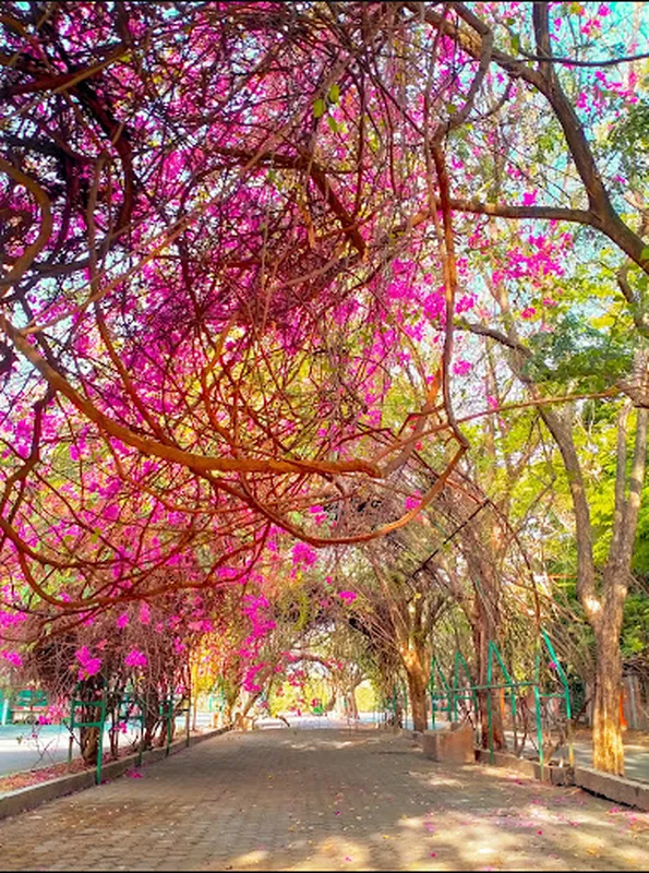 Taman Kenjeran