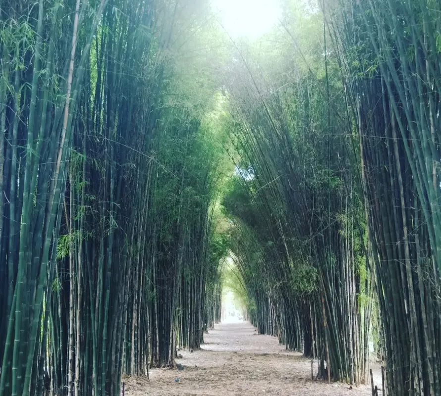 tempat wisata di Surabaya instagramable