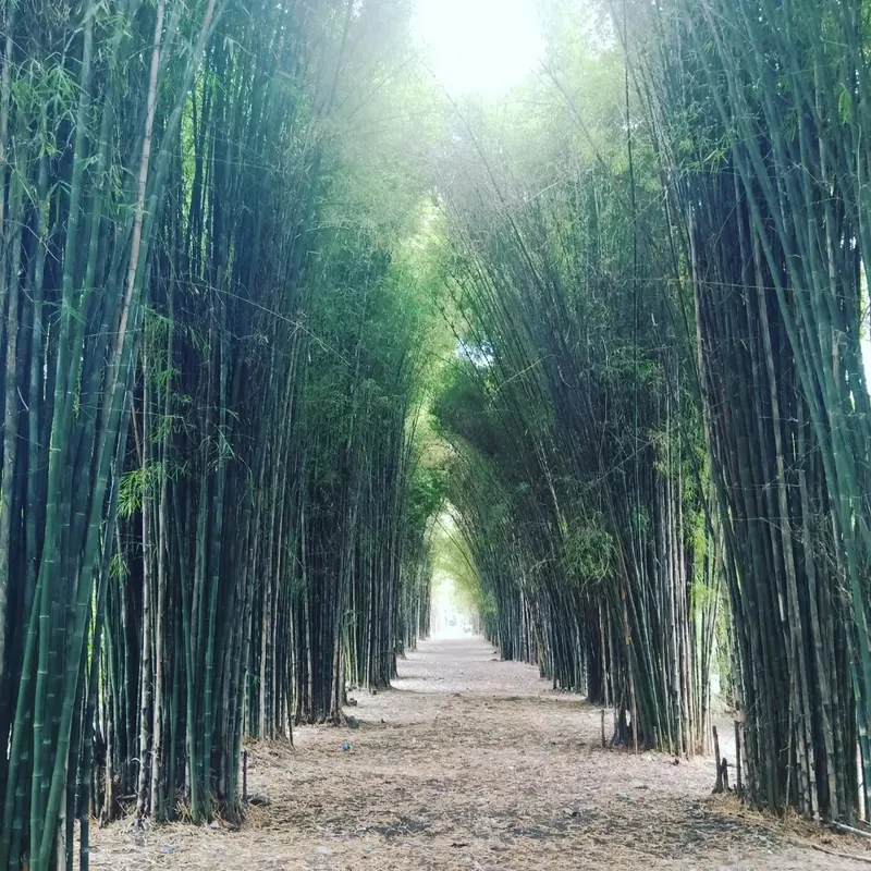 tempat wisata di Surabaya instagramable