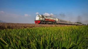 Pilihan Transportasi Malang Surabaya - Pilihan Transportasi untuk Perjalanan dari Malang ke Surabaya
