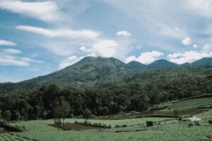 Destinasi Wisata Alam di Batu Malang untuk Pecinta Petualangan dan Relaksasi