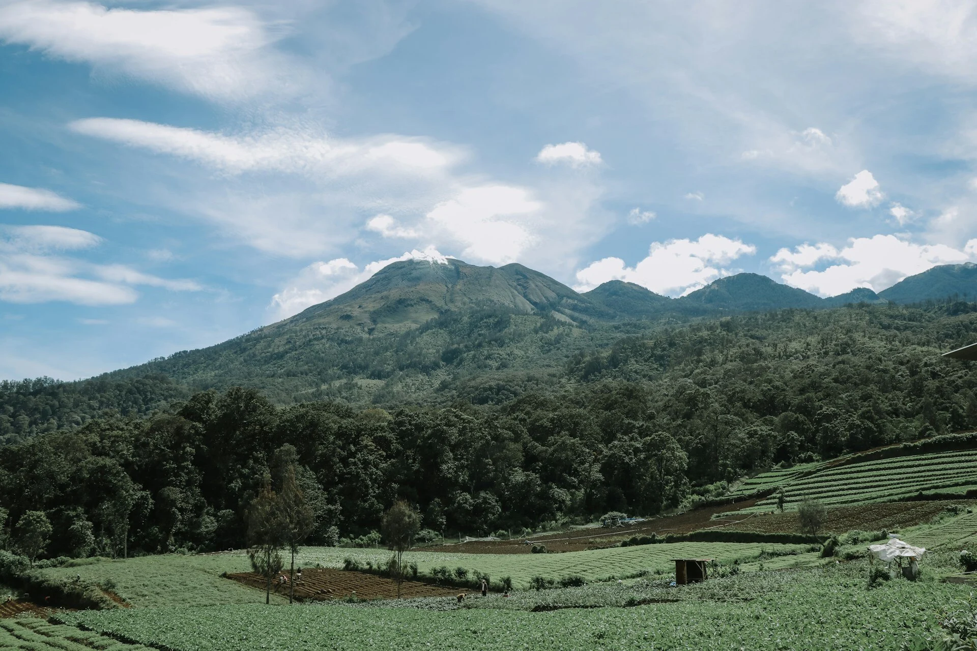7 Destinasi Wisata Alam di Batu Malang untuk Pecinta Petualangan dan Relaksasi