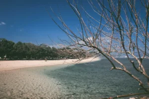 Berencana Trip ke Pantai Malang? Jangan Lewatkan Spot Keren Ini!