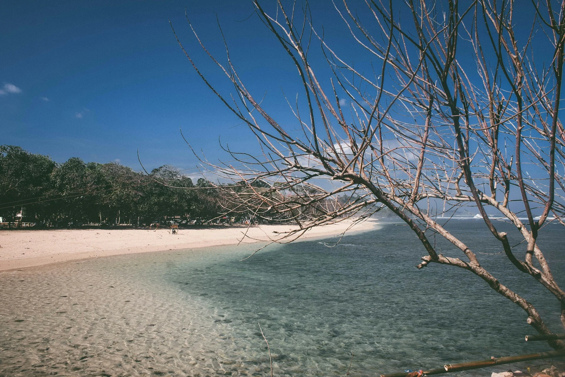 Berencana Trip ke Pantai Malang? Jangan Lewatkan Spot Keren Ini!