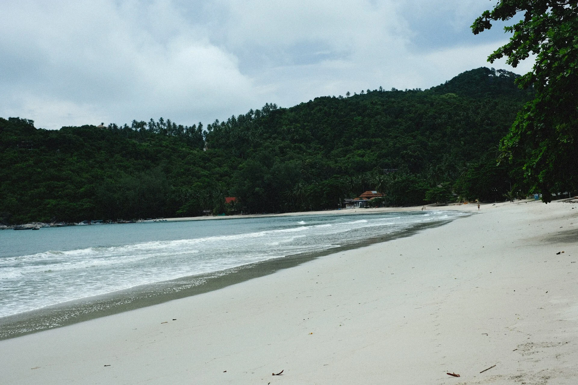 6 Pantai Tersembunyi di Malang yang Bikin Kamu Serasa Punya Pulau Pribadi!