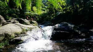 8 Wisata Alam di Sekitar Surabaya dan Malang untuk Kamu yang Suka Petualangan