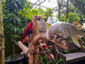 Eco Green Park Batu Malang: Lokasi, Harga Tiket, dan Daya Tariknya
