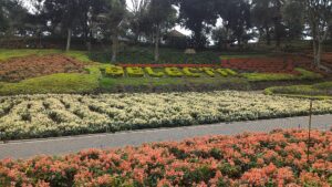 Taman Rekreasi Selecta Malang: Lokasi, Harga Tiket, dan Wahana yang Tersedia