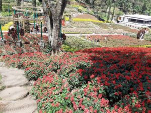 5 Lokasi Foto Anak Hits di Malang yang Ramah Keluarga