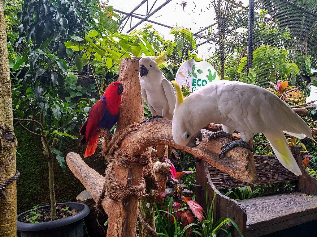 Eco Green Park Batu Malang: Lokasi, Harga Tiket, dan Daya Tariknya