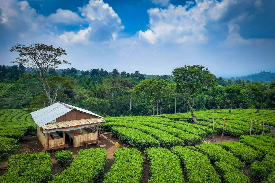 7 Spot Pegunungan Sejuk di Malang yang Cocok untuk Liburan Anti Stres