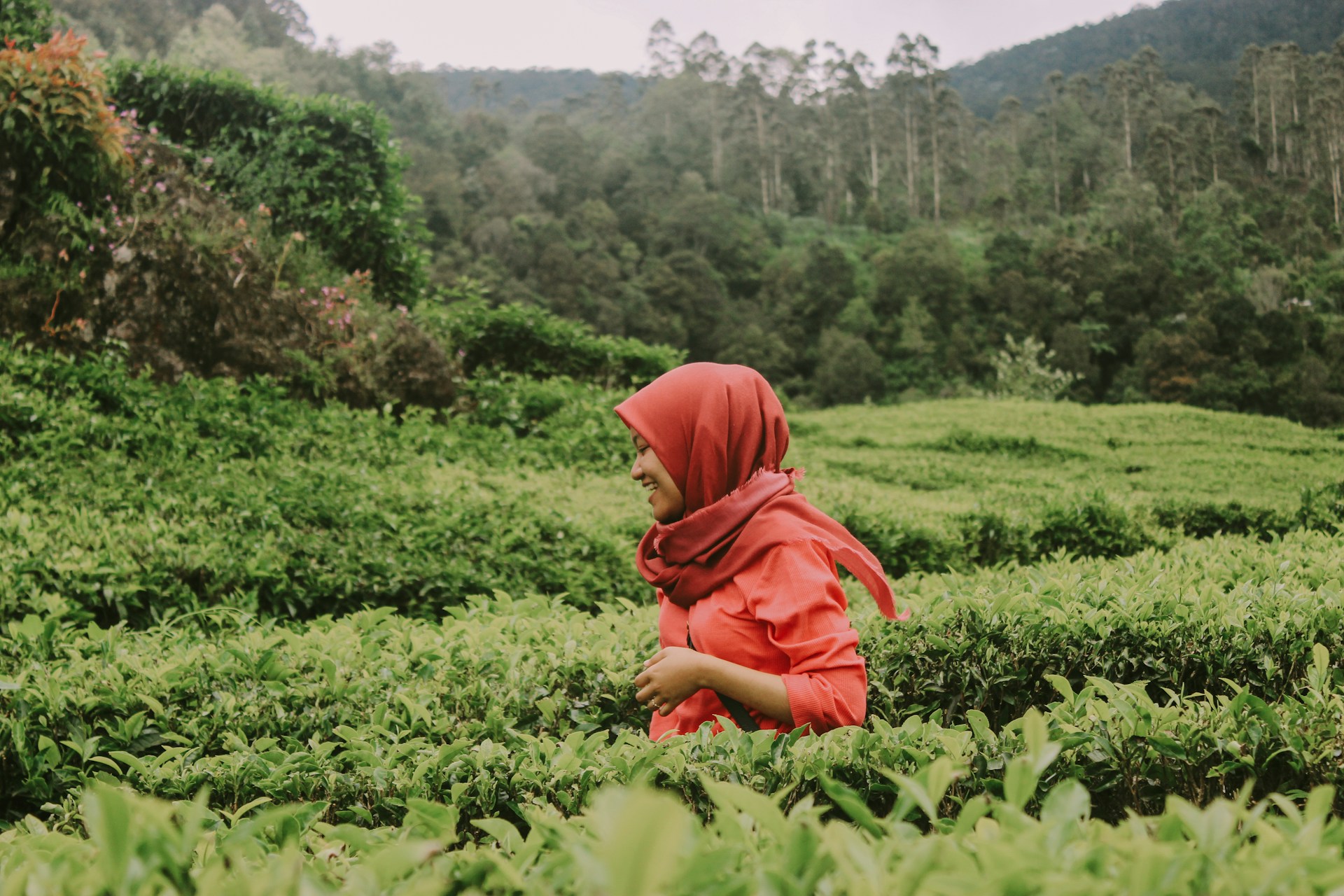 7 Bukit Cantik di Malang dengan View yang Hijau dan Menyejukkan