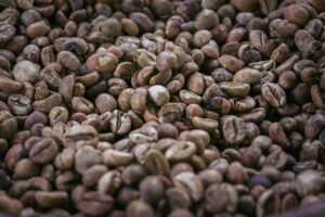 Mengapa Kopi Luwak Malang Berbeda?