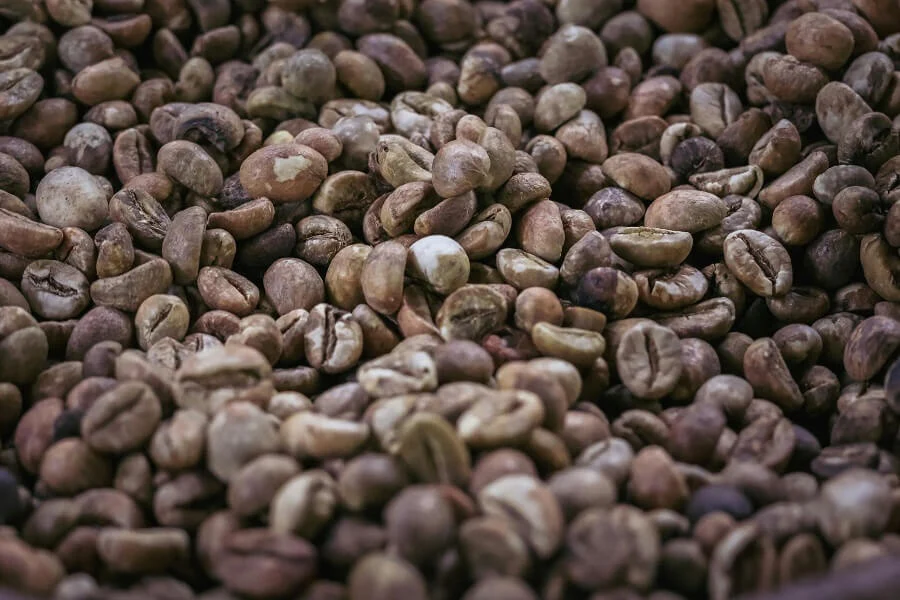 Mengapa Kopi Luwak Malang Berbeda?
