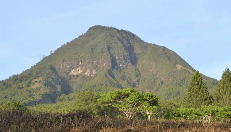 Tips dan Panduan Lengkap Mendaki Gunung Panderman untuk Pemula